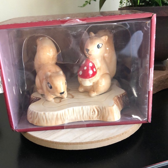 Seeds & Sunshine 3 piece Squirrel mushroom Salt Pepper Shakers - Picture 1 of 5